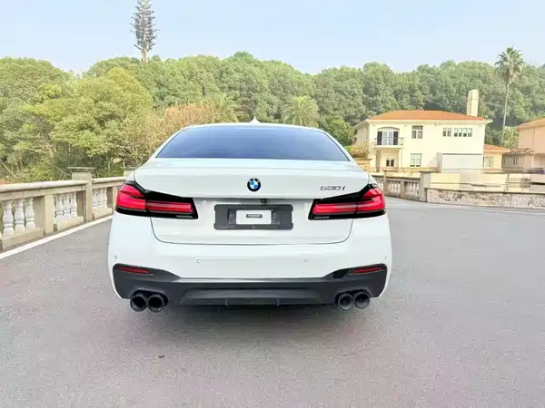 BMW 5 Series 2021