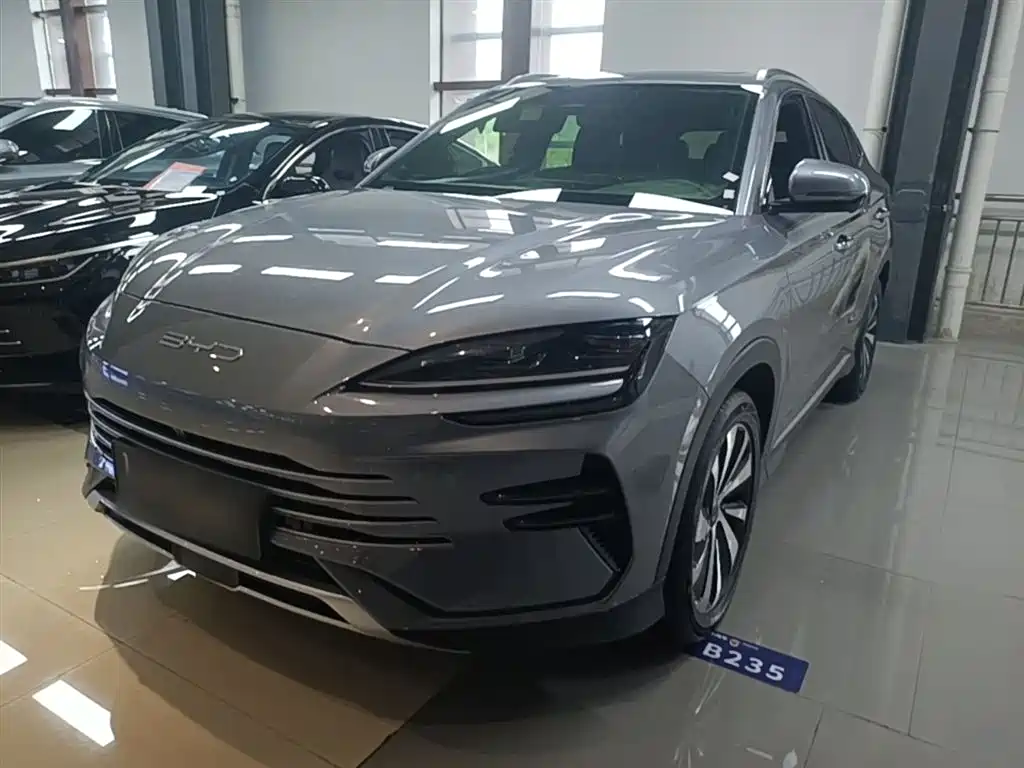BYD PLUS New Energy 2024 — фото 2