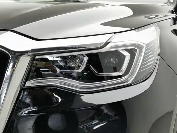 Hongqi HS7 2020