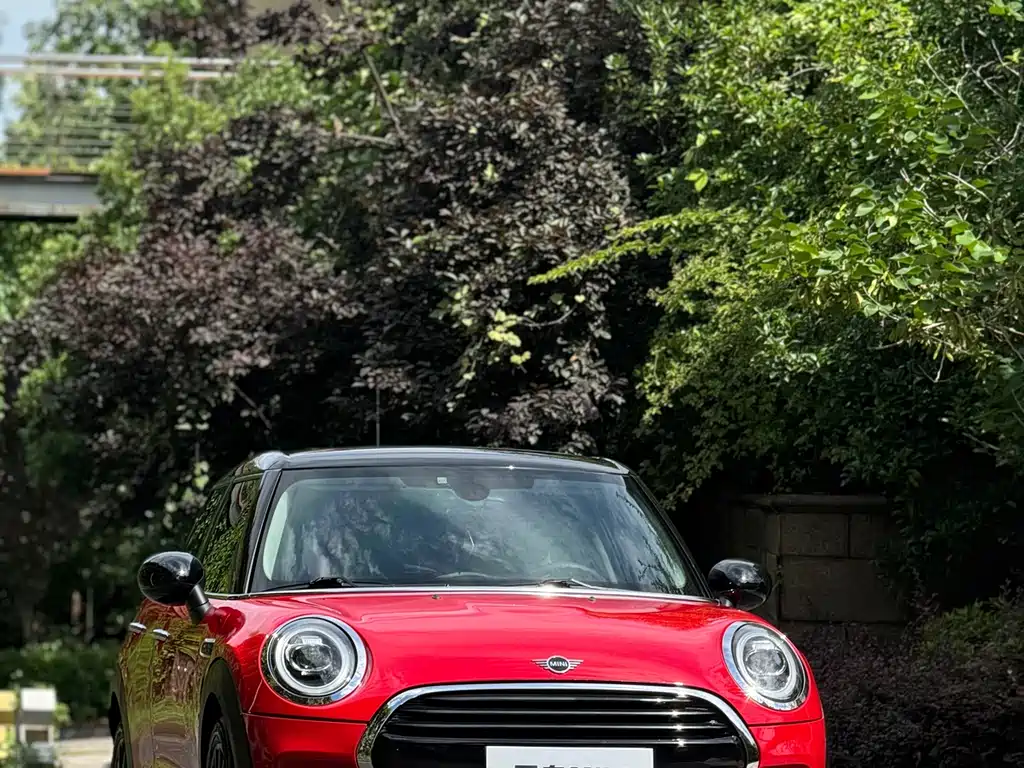 MINI MINI 2019