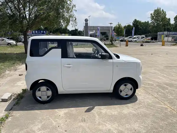 Geely Galaxy Panda 2026
