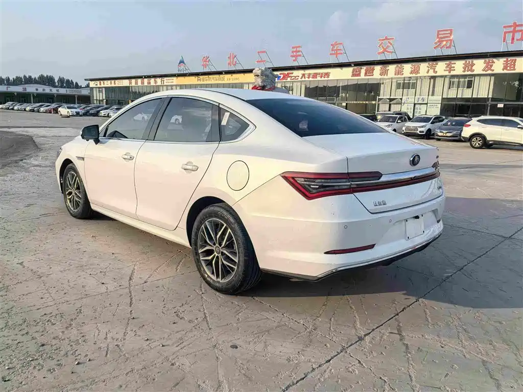 BYD Qin Pro New Energy 2020 — фото 9