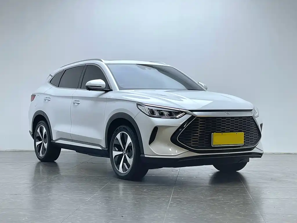 BYD PLUS New Energy 2022 — фото 20