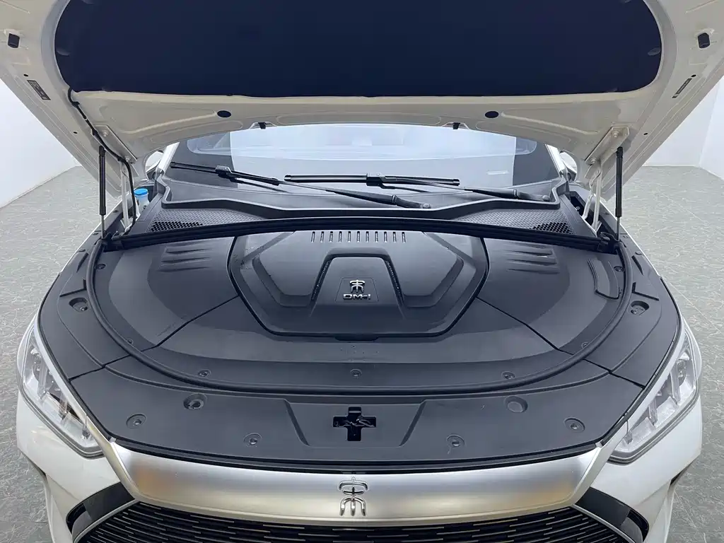 BYD PLUS New Energy 2022 — фото 17