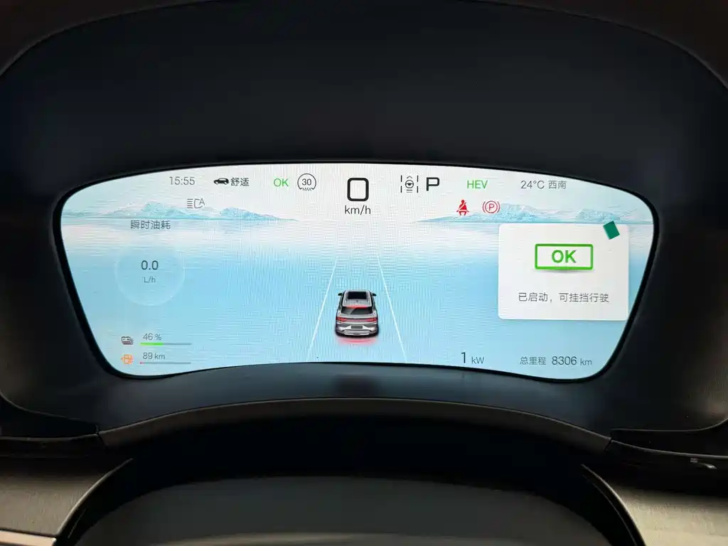 BYD Song PLUS New Energy 2025 — фото 19