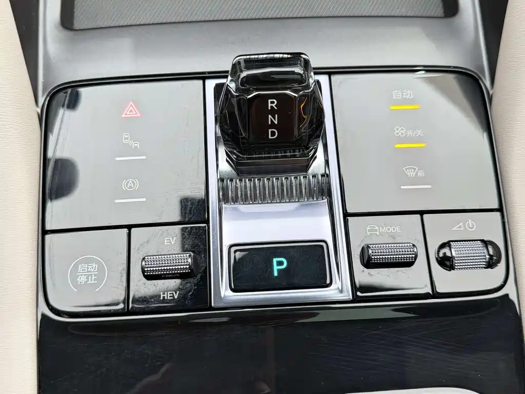 BYD Song PLUS New Energy 2025 — фото 24