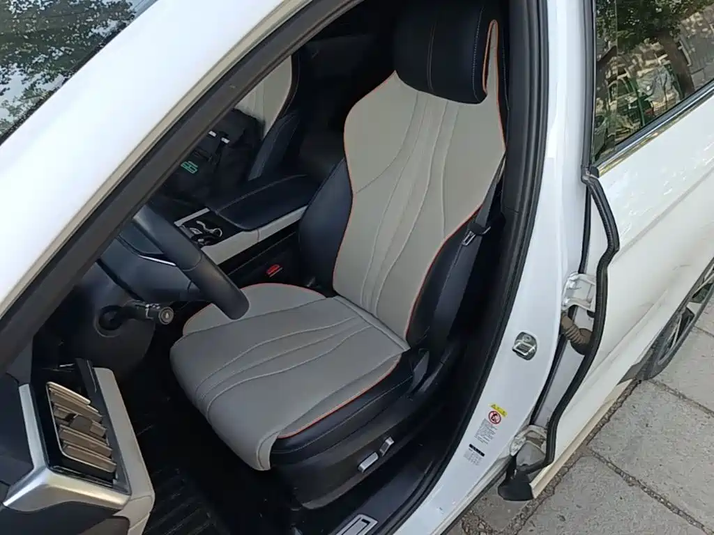 BYD PLUS New Energy 2022 — фото 15