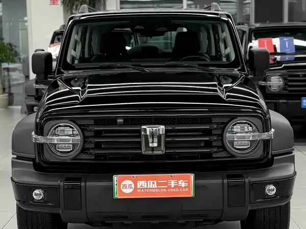 Tank 300 New Energy 2025