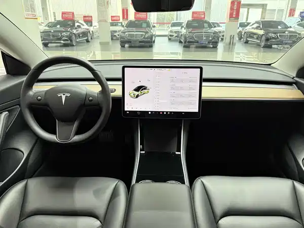 Tesla Model 3 2019