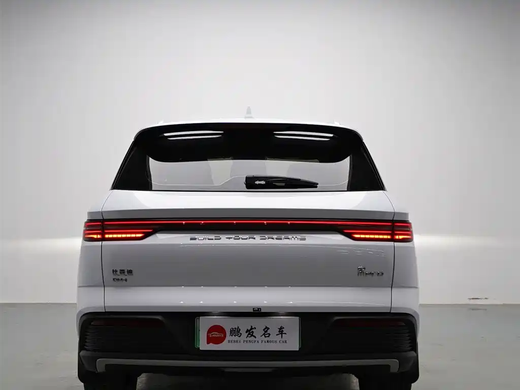 BYD Pro New Energy 2025 — фото 16