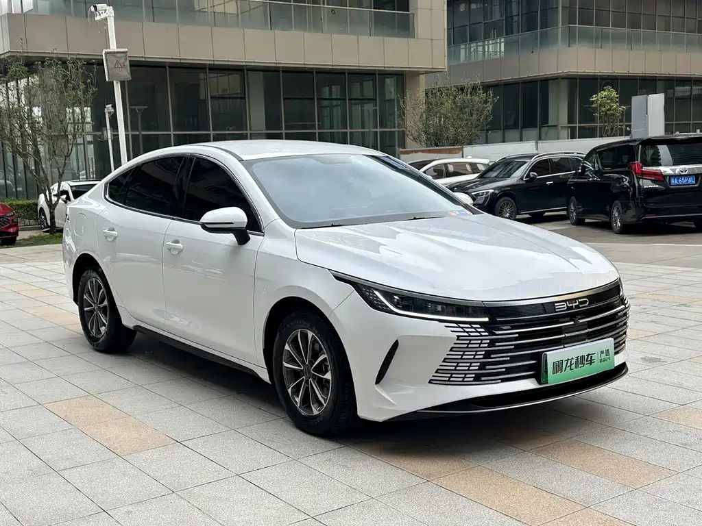 BYD Destroyer 05 2024 — фото 11