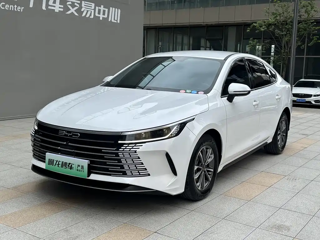 BYD Destroyer 05 2024 — фото 2