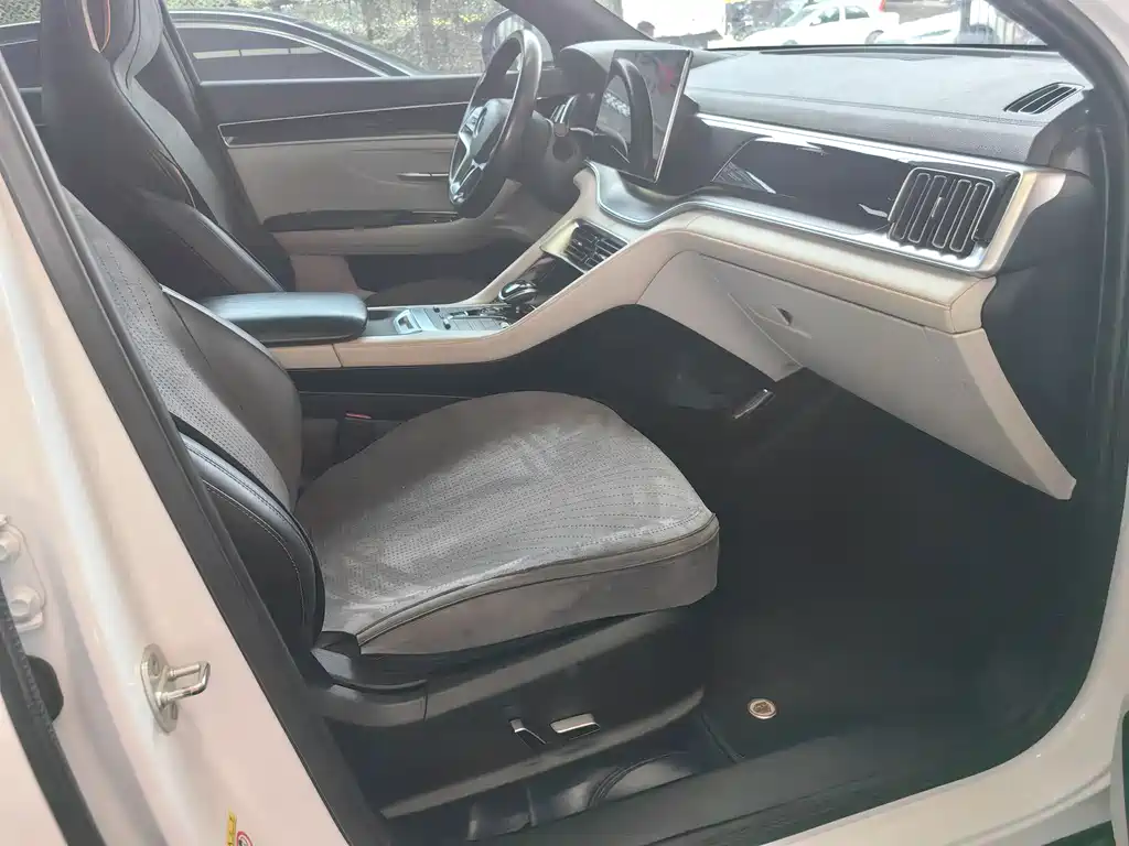 BYD PLUS New Energy 2022 — фото 13