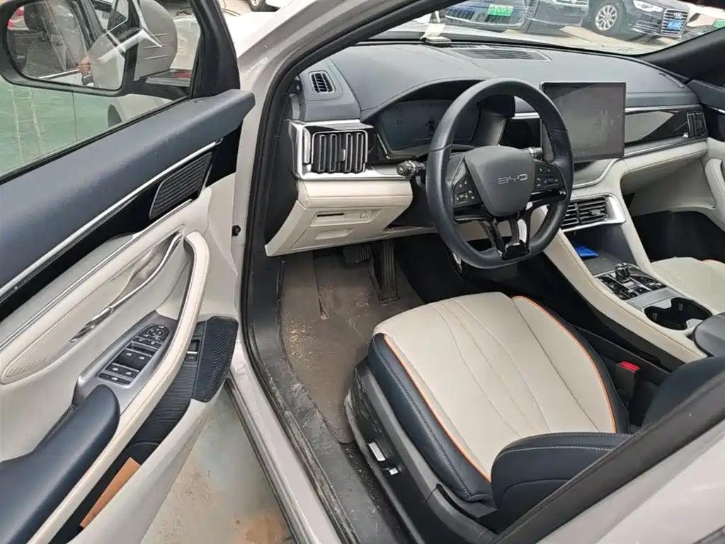 BYD PLUS New Energy 2024 — фото 15
