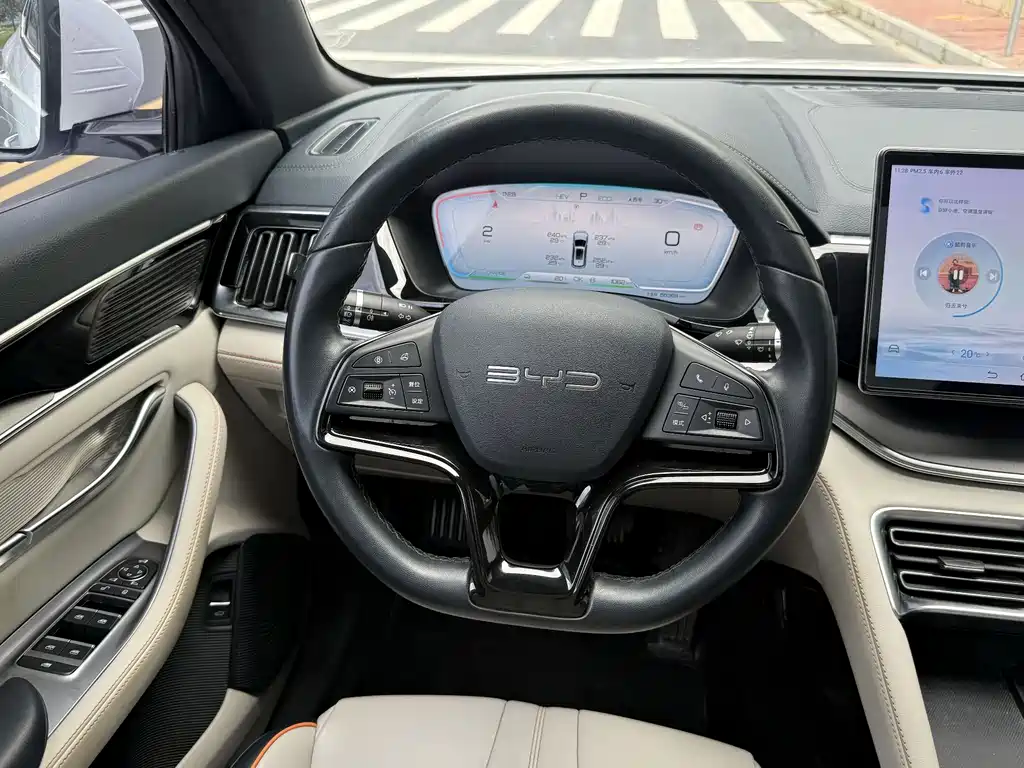 BYD PLUS New Energy 2024 — фото 10