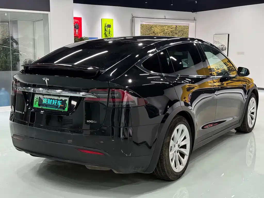Tesla Model X 2018 — фото 10