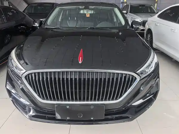 Hongqi H5 2020