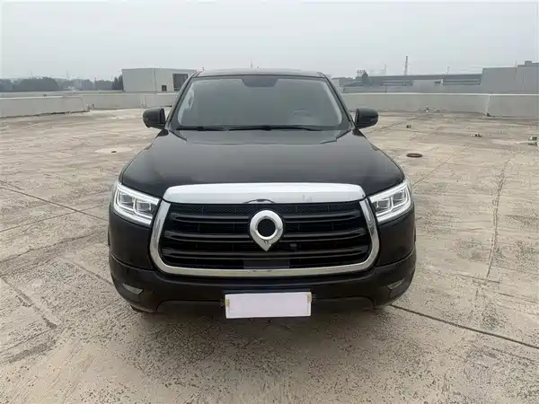 Great Wall Poer 2020