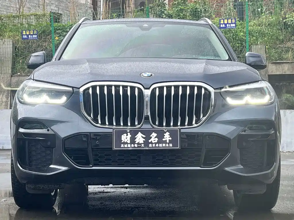 BMW X5 2022 — фото 2