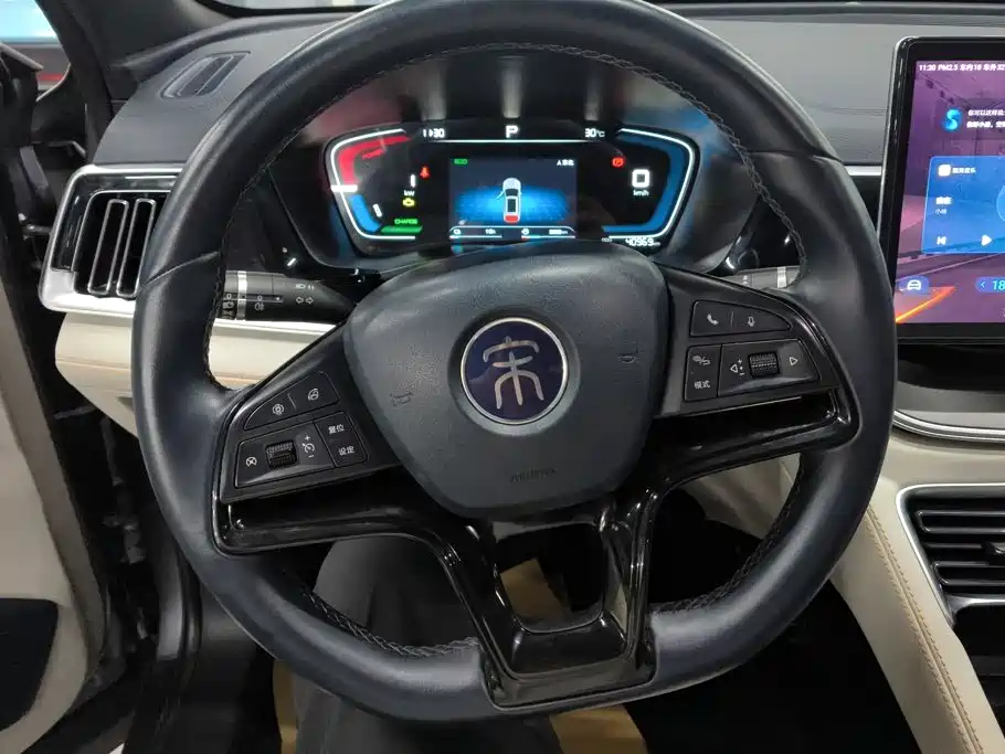 BYD Song PLUS New Energy 2023 — фото 15