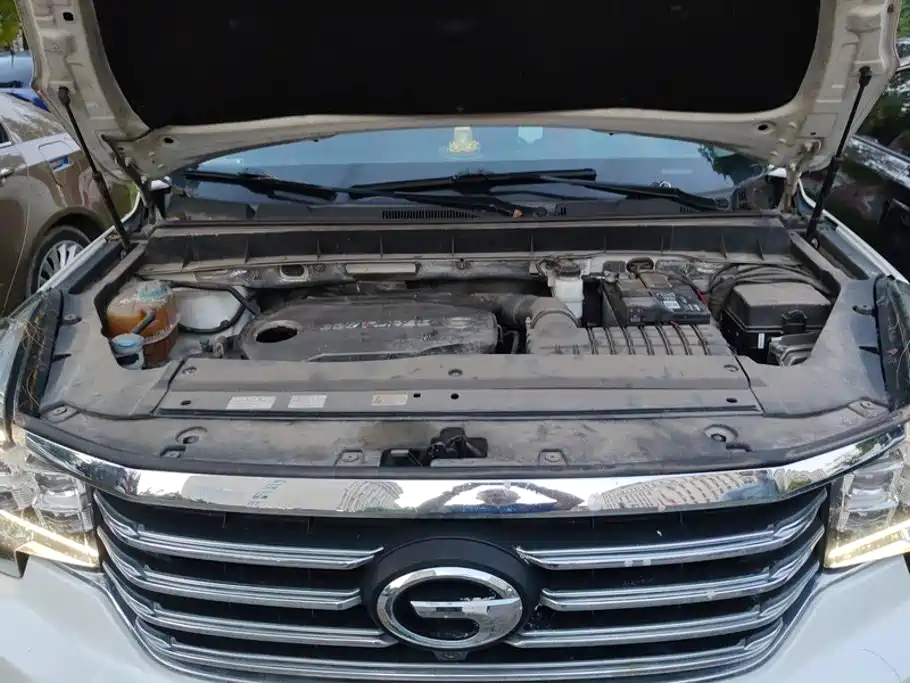 GAC Trumpchi GS8 2018 — фото 10