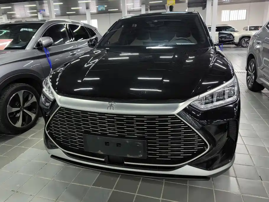 BYD Song PLUS New Energy 2023 — фото 2