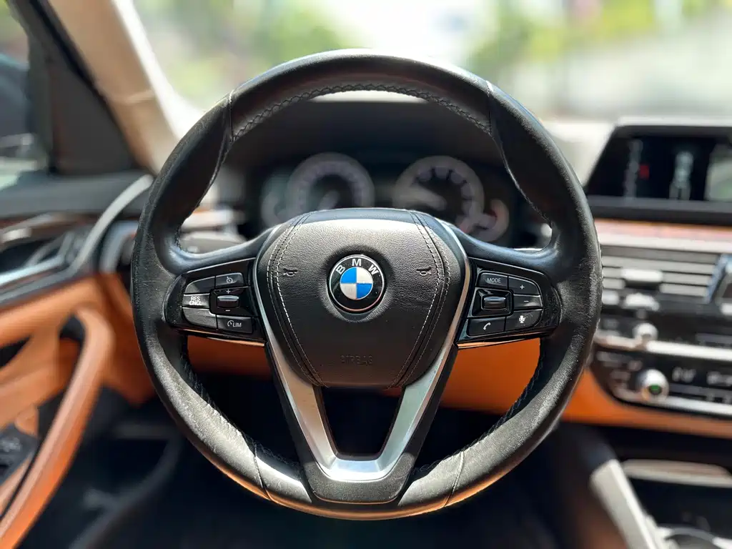 BMW 5 Series 2017 — фото 21