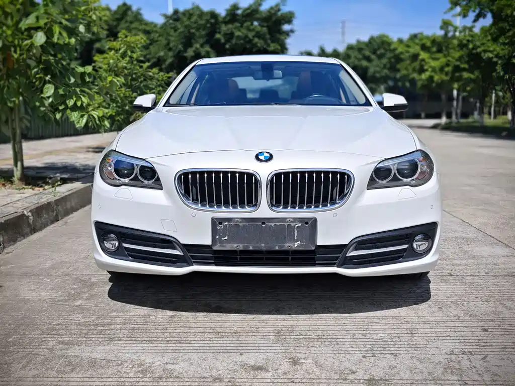 BMW 5 Series 2016 — фото 2