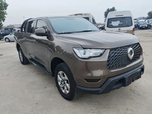 Great Wall Poer 2021