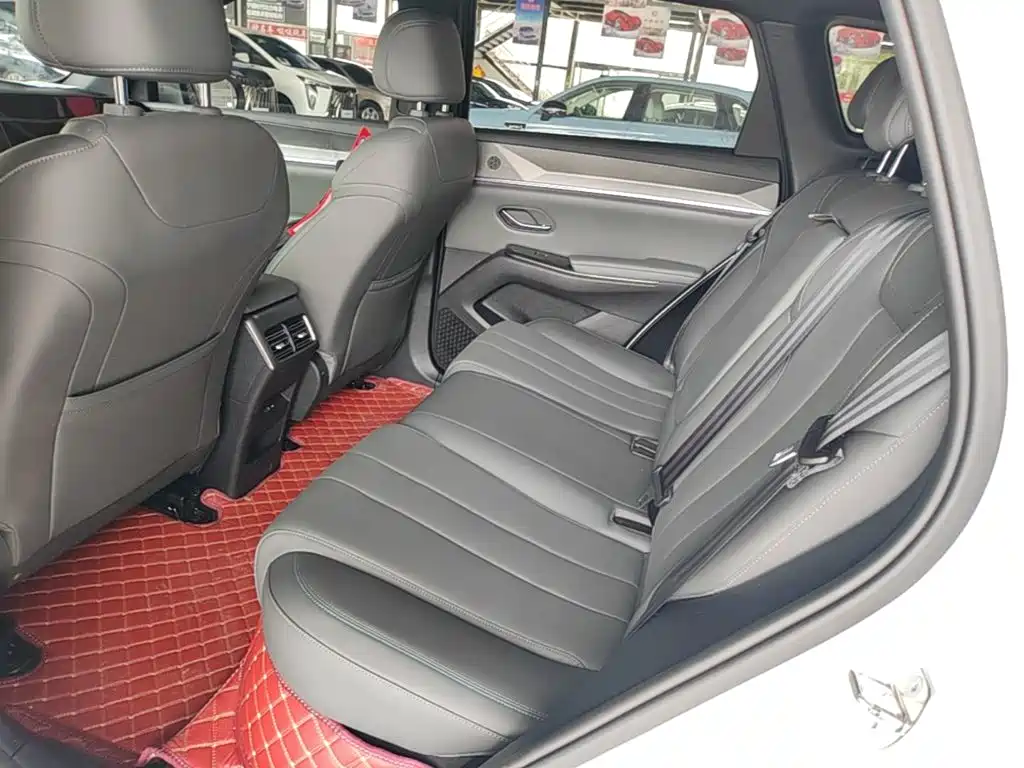 BYD Song Pro New Energy 2025 — фото 17
