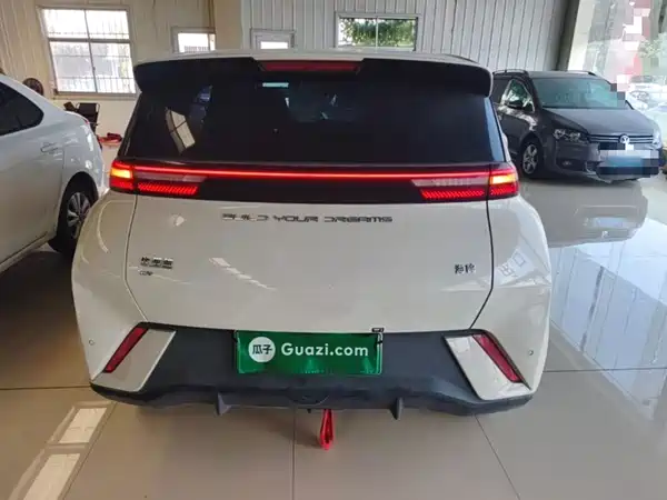 BYD Seagull 2024