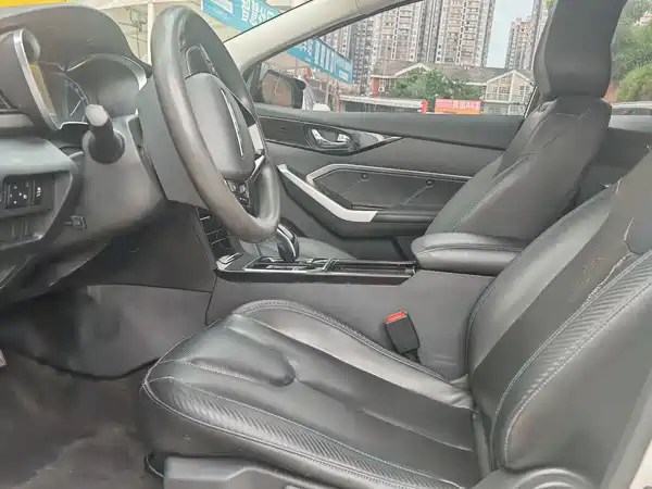 Venucia D60 EV 2020