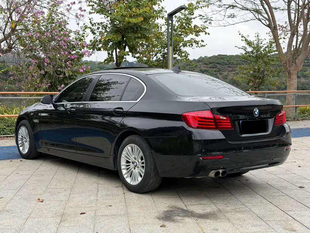 BMW 5 Series 2014 — фото 7