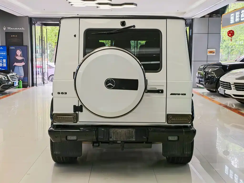 Mercedes-Benz G-Class AMG 2016 — фото 16