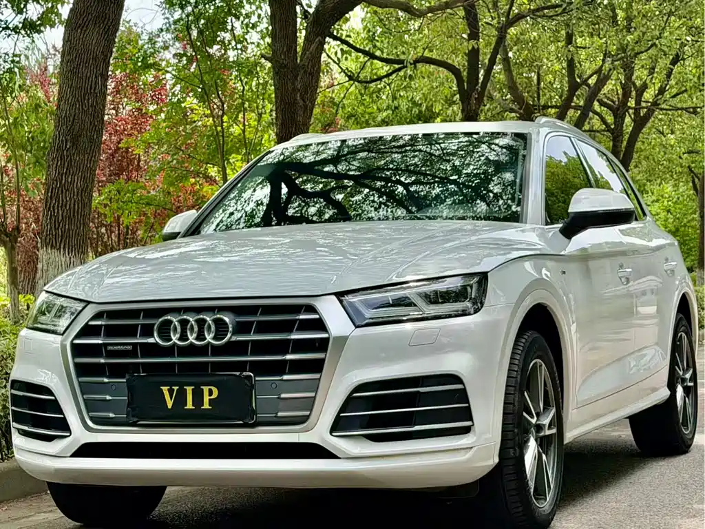 Audi Q5L 2019 — фото 1