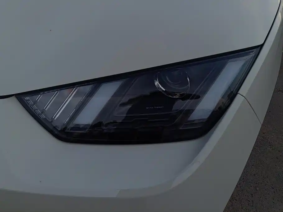 BYD Seagull 2026