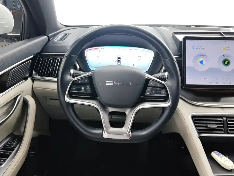BYD Song PLUS New Energy 2024 — фото 15