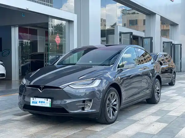 Tesla Model X 2019