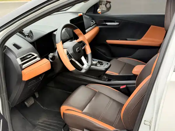 BYD e2 2022