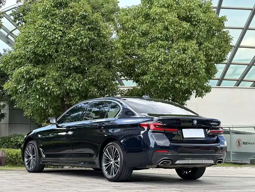 BMW 5 Series 2021