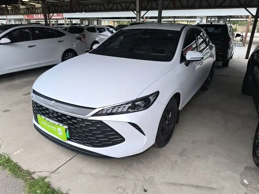 BYD Qin PLUS 2025 — фото 1