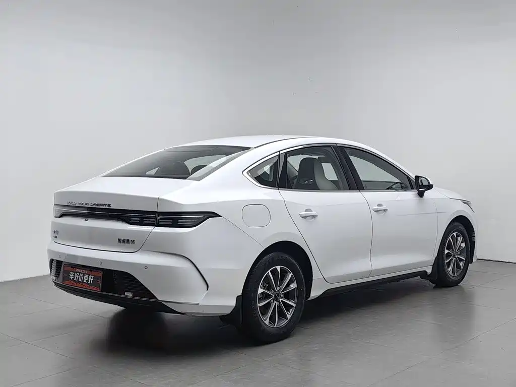 BYD Destroyer 05 2024 — фото 2