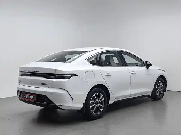 BYD Destroyer 05 2024