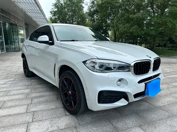 BMW X6 2019