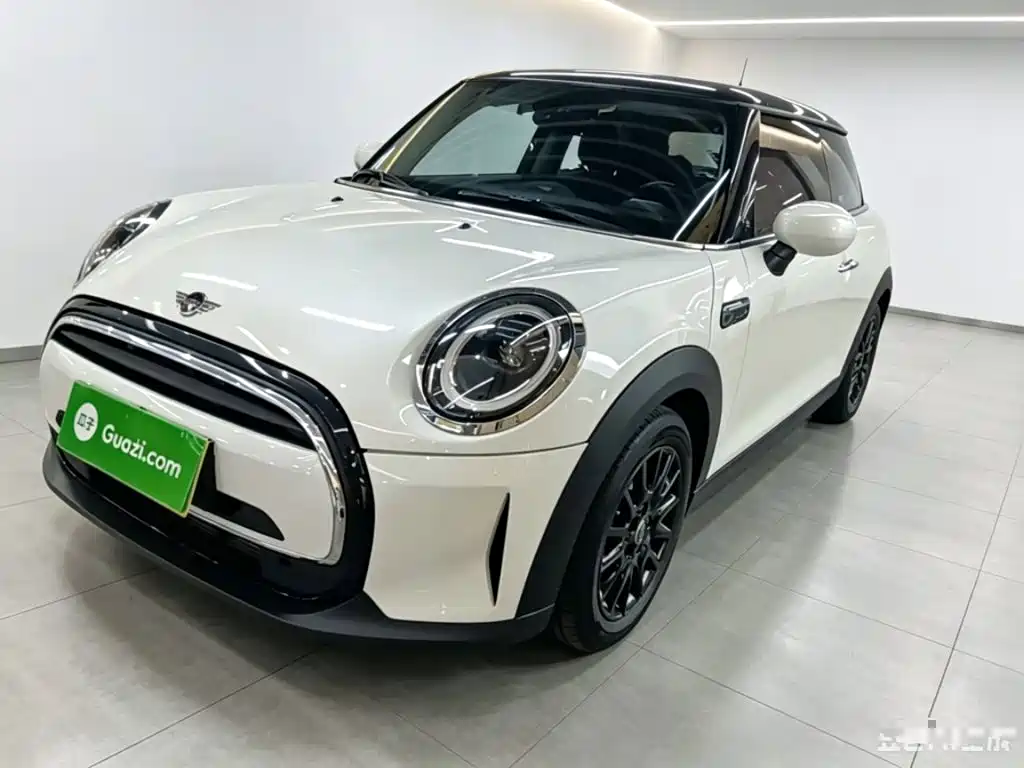 MINI MINI 2024