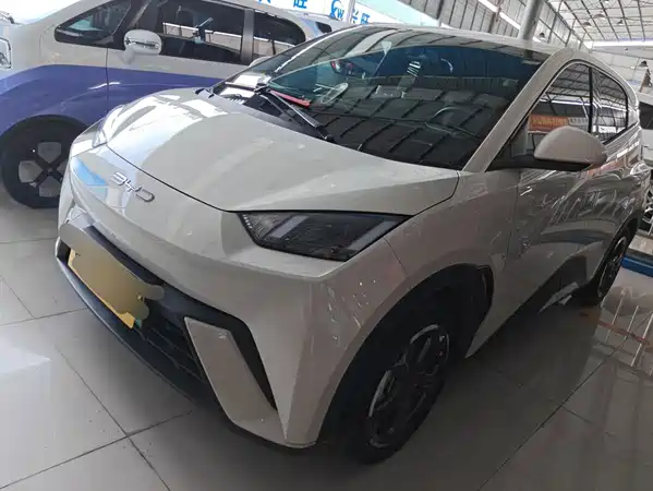 BYD Seagull 2024