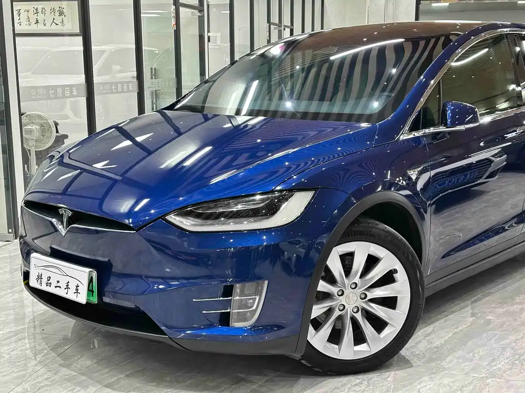 Tesla Model X 2019 — фото 7