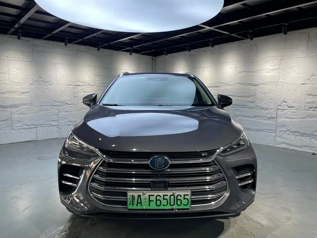 BYD Tang New Energy 2019 — фото 2