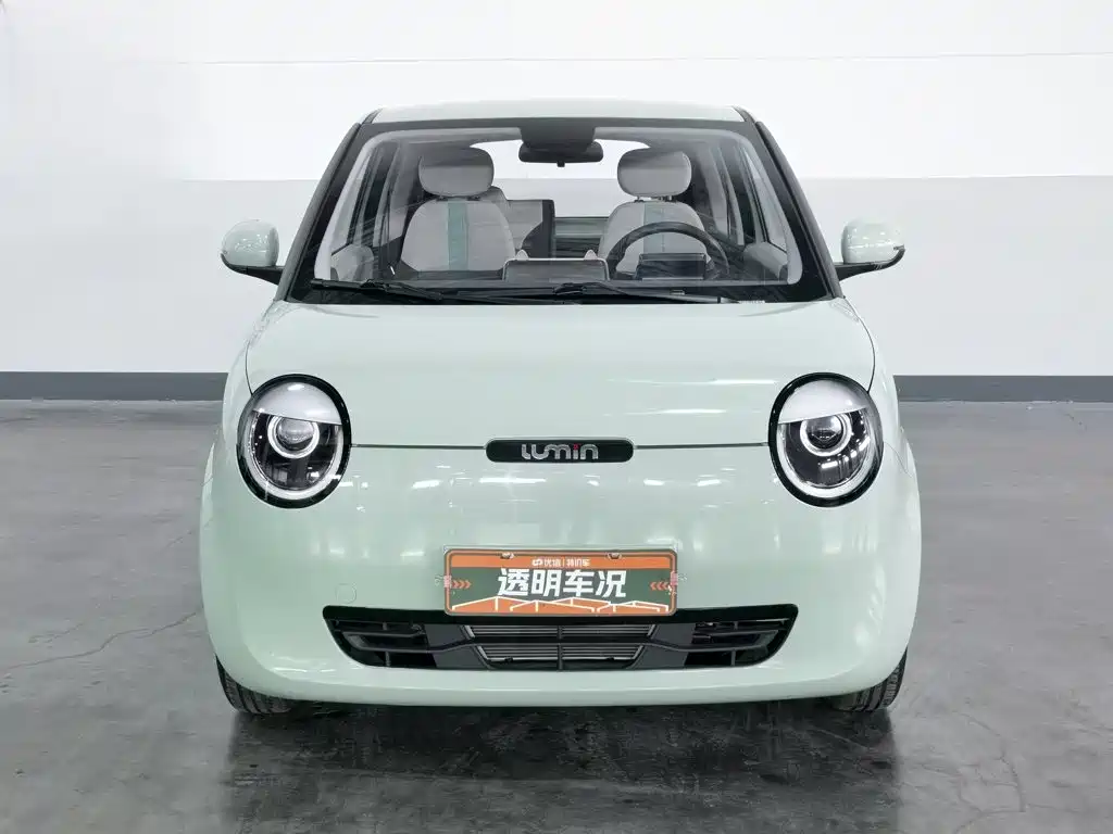 Qiyuan Lumin 2023