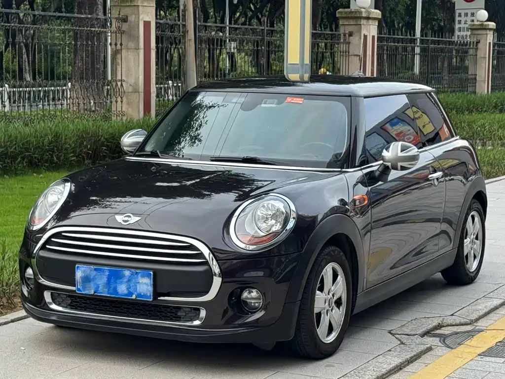 MINI MINI 2015